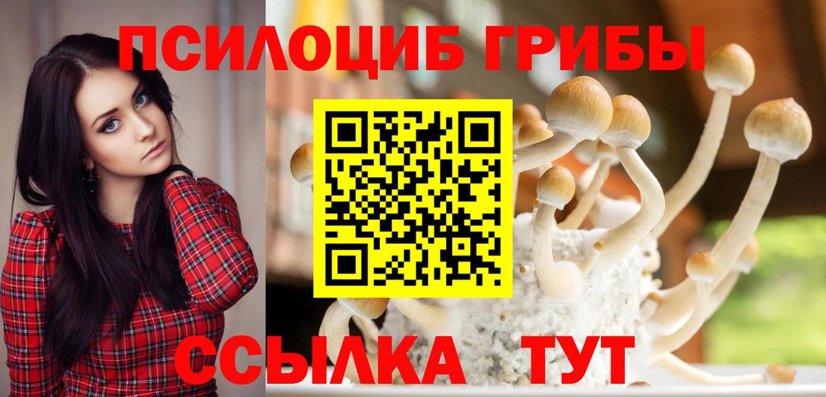 Прохладный  Псилоцибиновые грибы MAGIC MUSHROOMS  Вход с VPN 