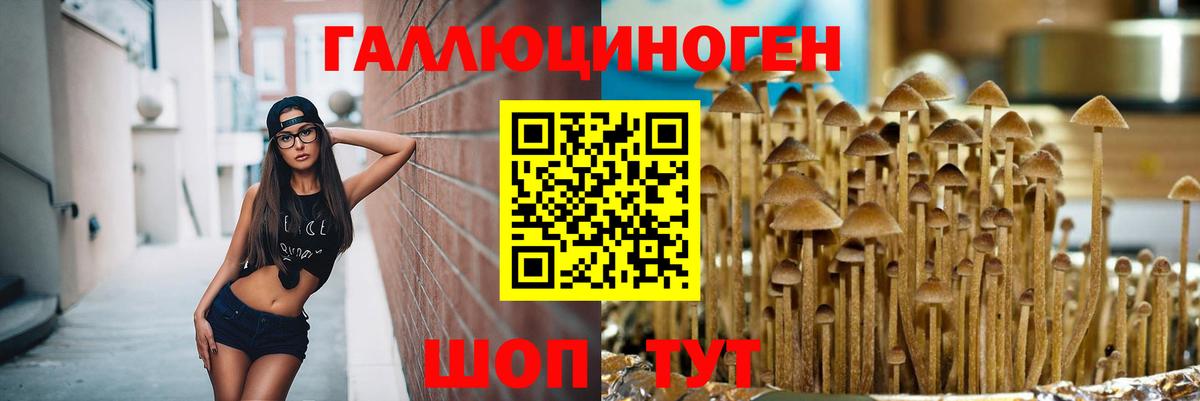 Галлюциногенные грибы мухоморы Прохладный